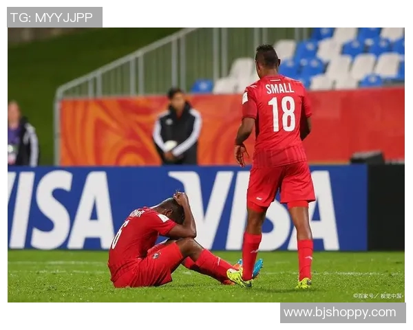 飞火流星足球:点燃激情与梦想的绿茵场传奇之旅