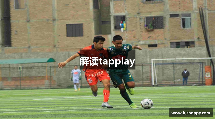 解读tapplay